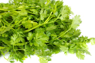 Fresh coriander (cilantro) herb isolated on a white background clipart