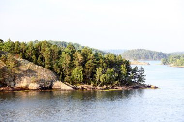 Lonely island in Sweden Archipelago clipart