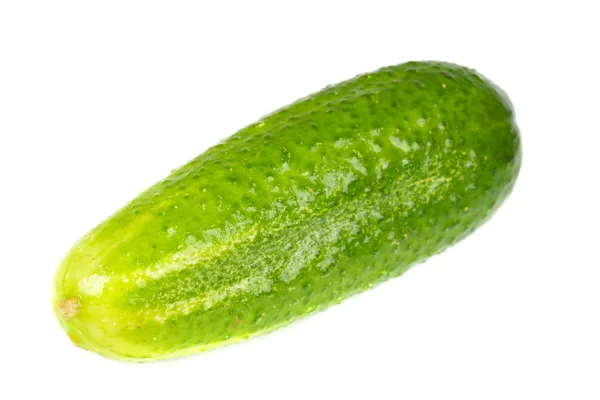 Cucumber isolated on white background. Stock Image