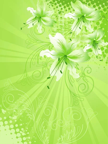 Lily flower bakgrund — Stock vektor