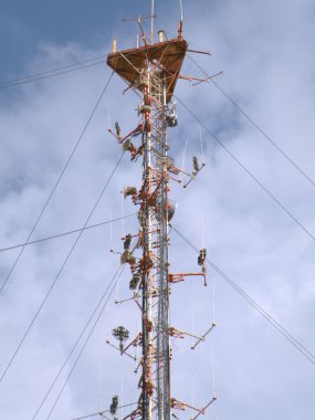 yüksek teknoloji telefon teknolojisi