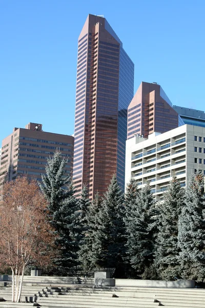 stock image Office buildings.Calgary,Canada