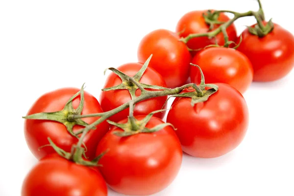 Stock image Fresh tomatoes isolated