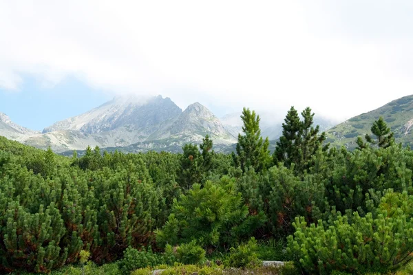 山 landscape.high tatras スロバキア — ストック写真