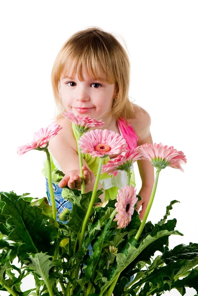 Little girl with the wlowers — Stock Photo, Image