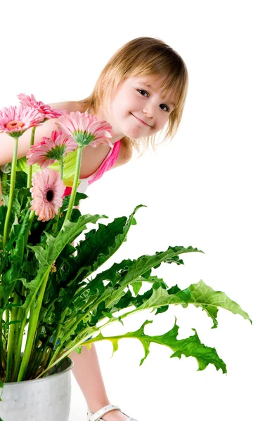 Linda niña con las flores rosadas — Foto de Stock