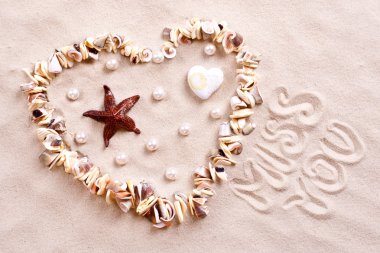 Seashells in sand clipart