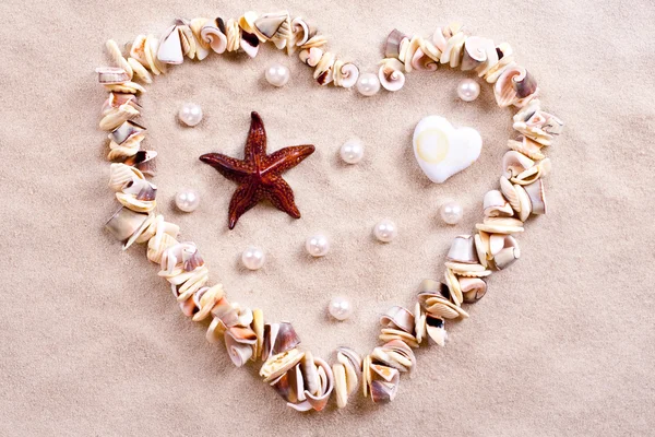 stock image Seashells in sand