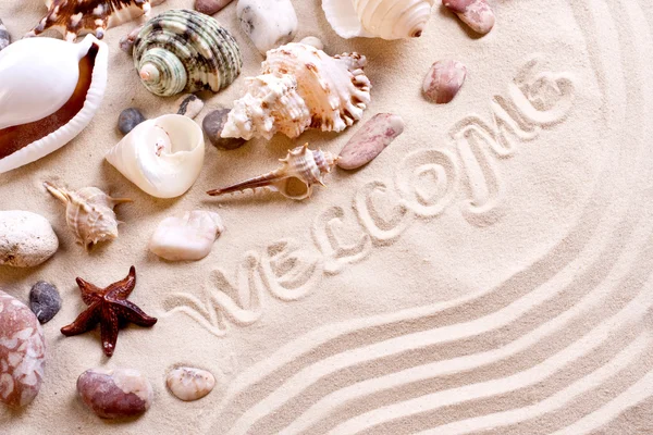 stock image Seashells in sand with text