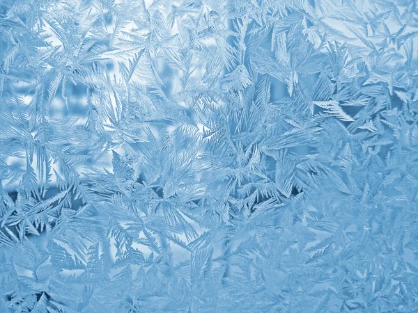 Frosty window — Stock Photo, Image