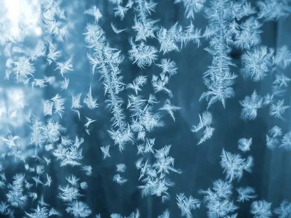 Frost — Stockfoto