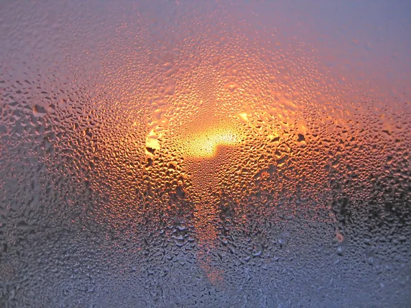 水滴と日光 — ストック写真