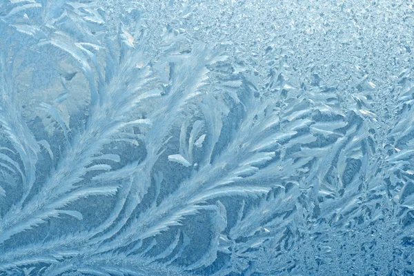 Frosty natuurlijke patroon Stockfoto