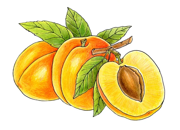 Tre saftiga persikor — Stockfoto