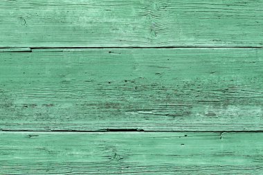 Old green wood texture clipart