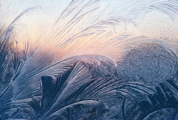 Frost och solljus textur — Stockfoto