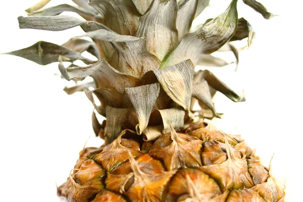 Närbild av ananas — Stockfoto