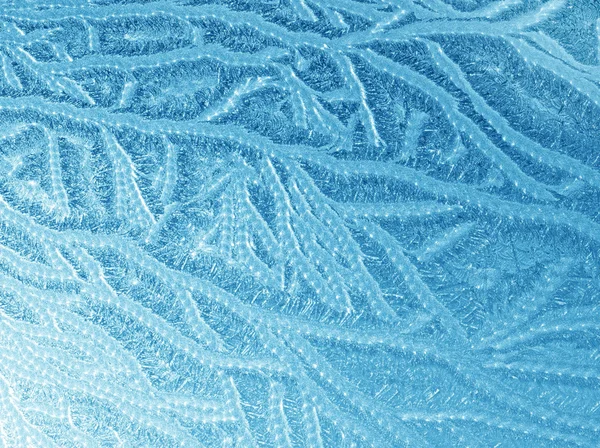 Frost doku — Stok fotoğraf