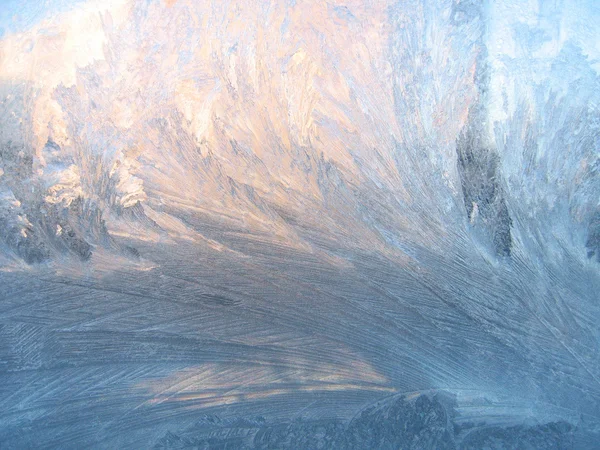 霜と日光 — ストック写真