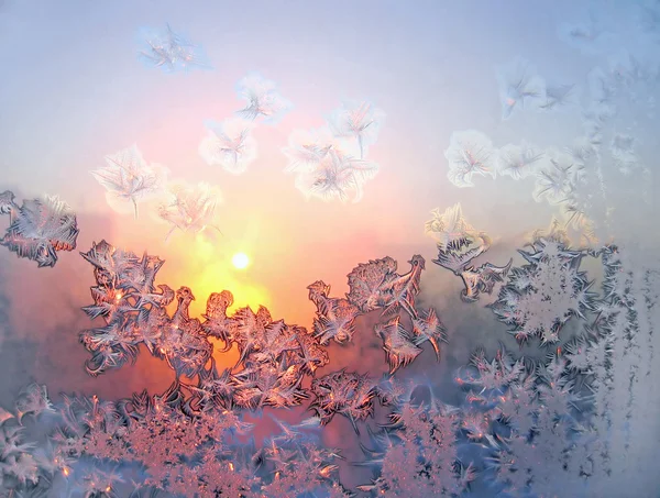 Frosty natural pattern and sun — Stock Photo, Image