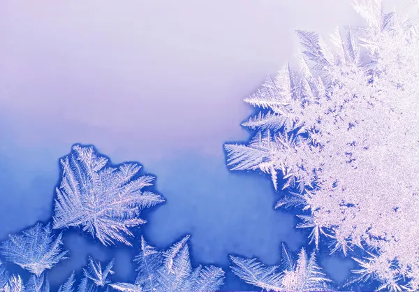 Frost pattern — Stock Photo, Image