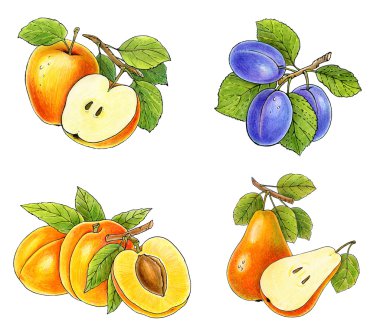 Fruits collection clipart