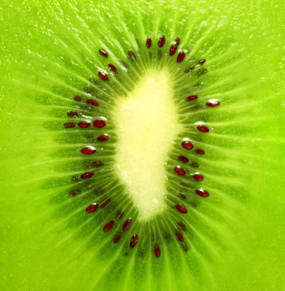 stock image Kiwi