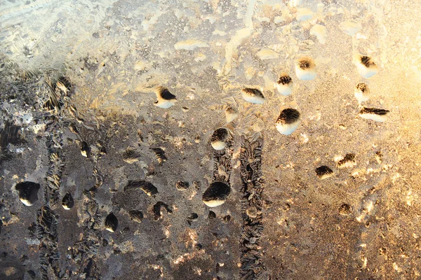 냉동된 물 방울 및 햇빛의 겨울 유리 — 스톡 사진