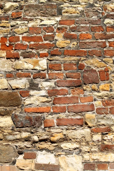 stock image Old wall