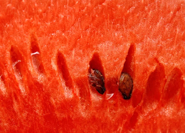 Wasser-Melone Nahaufnahme Hintergrund — Stockfoto