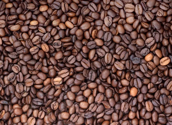 Fondo de grano de café — Foto de Stock