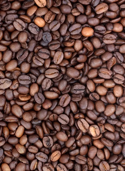 Υπόβαθρο των φασολιών καφέ — Φωτογραφία Αρχείου