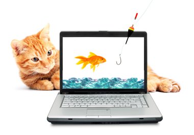 Goldfish, cat, laptop clipart