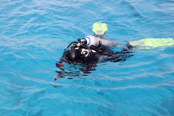 Stock image Scuba diver underwater