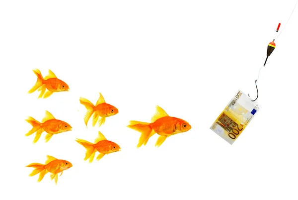 Goldfishes ve para — Stok fotoğraf