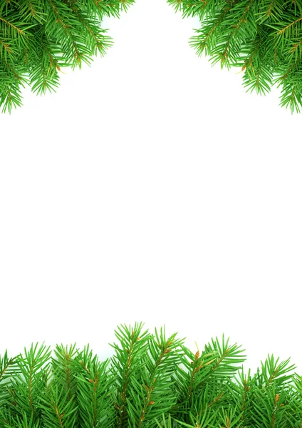 Marco verde de Navidad — Foto de Stock