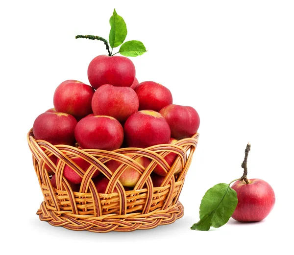 Korg med äpplen — Stockfoto