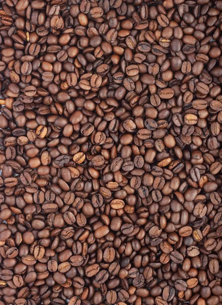 Hintergrund der Kaffeebohne — Stockfoto