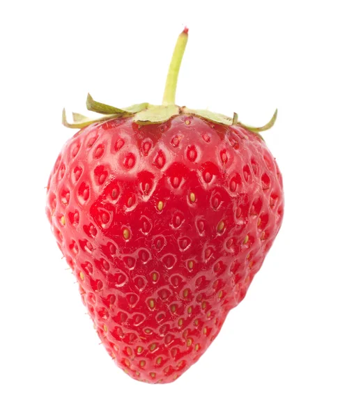 Strawberrie — Zdjęcie stockowe