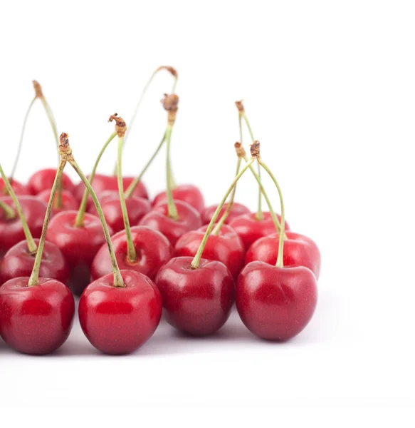 Красные вишни — стоковое фото