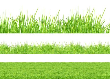 Isolated green grass clipart