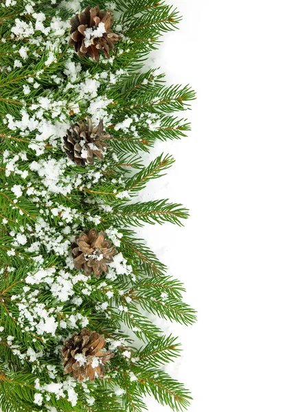 Vánoční rámec s sněhu a kužely — Stock fotografie