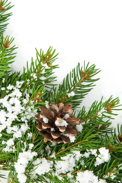 Cornice natalizia con neve e coni — Foto Stock