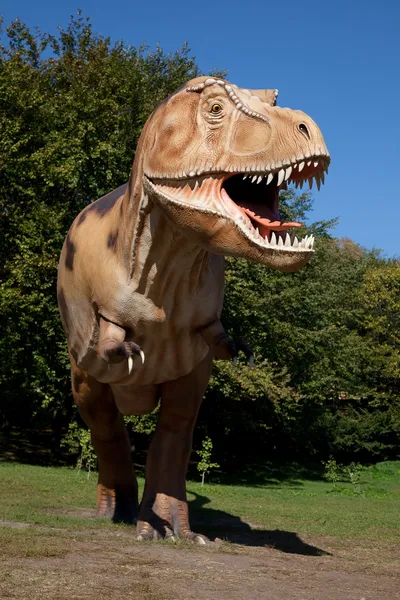 Aggressiva t-rex — Stockfoto