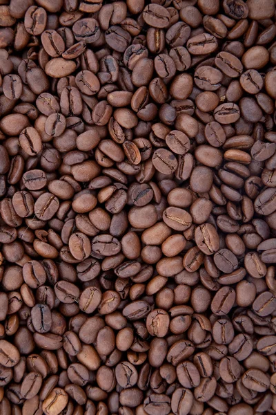 Bakgrund av kaffebönor — Stockfoto