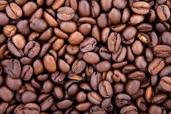 Фон кавових зерен — стокове фото