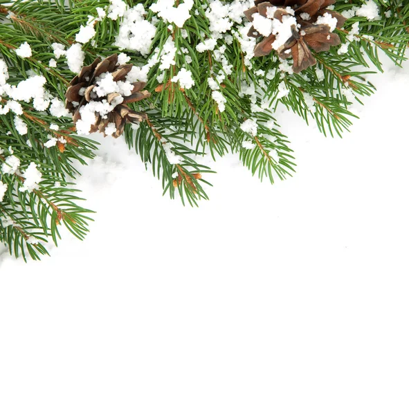 Cadre de Noël avec neige et cônes — Photo