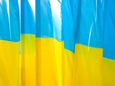 Ukraine flag. clipart