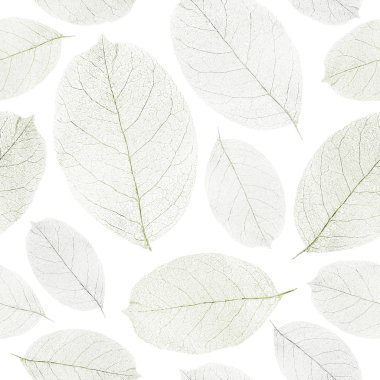 Dried leafs seamless background. clipart