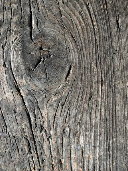 Wood. — Stock Photo, Image